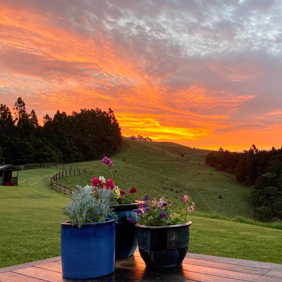 Kauri Glen Bnb Acomodação com café da manhã Te Arai Exterior foto